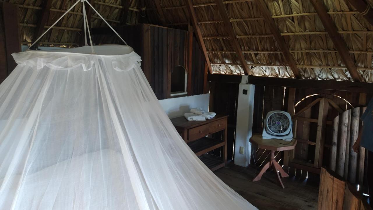 Shambhala Vision Hotel Zipolite Luaran gambar
